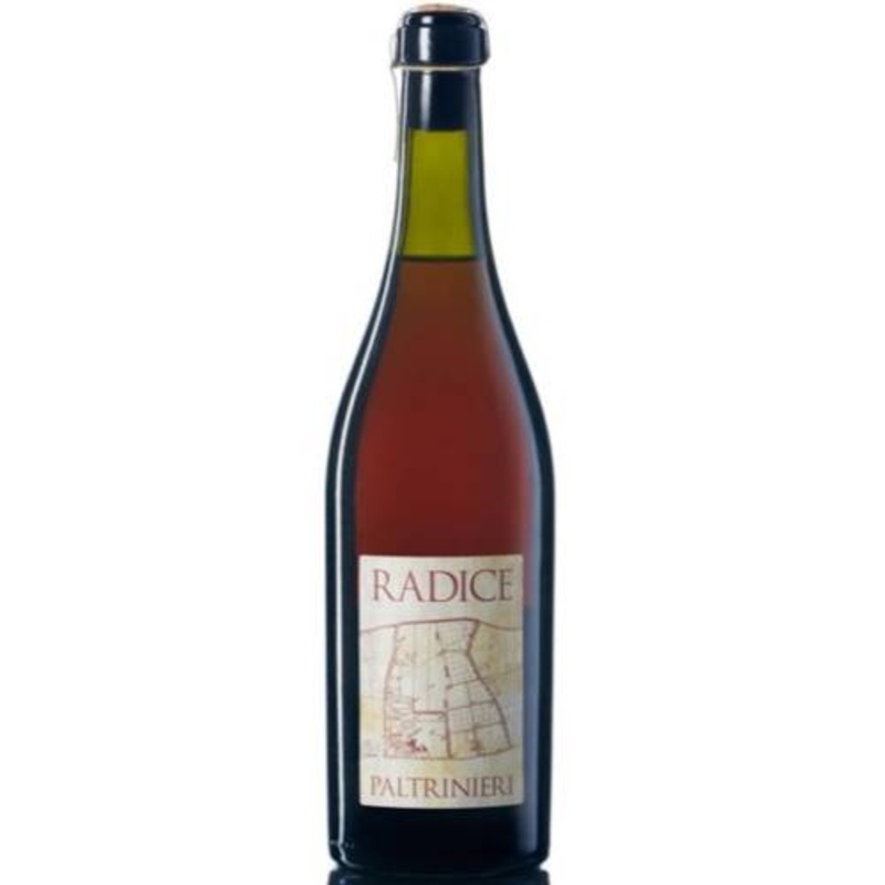 Paltrinieri Radice Lambrusco di Modena DOC - Pet Nat 2023 - 750ml