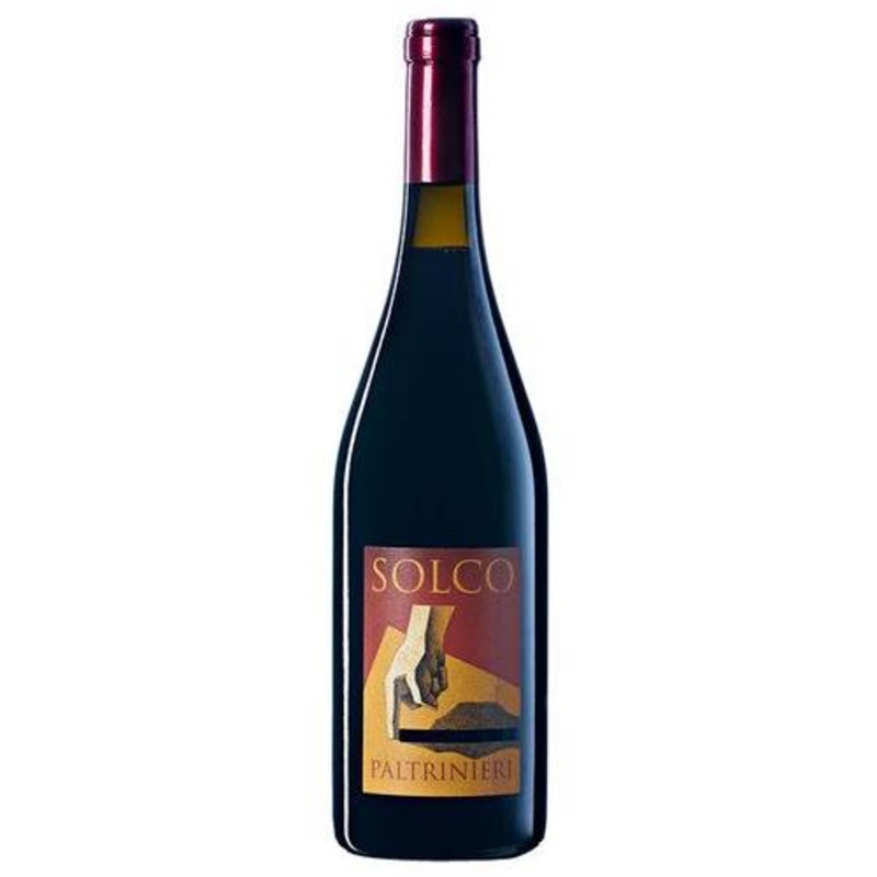 Paltrinieri Solco Lambrusco di Modena DOC 2023 - 750ml