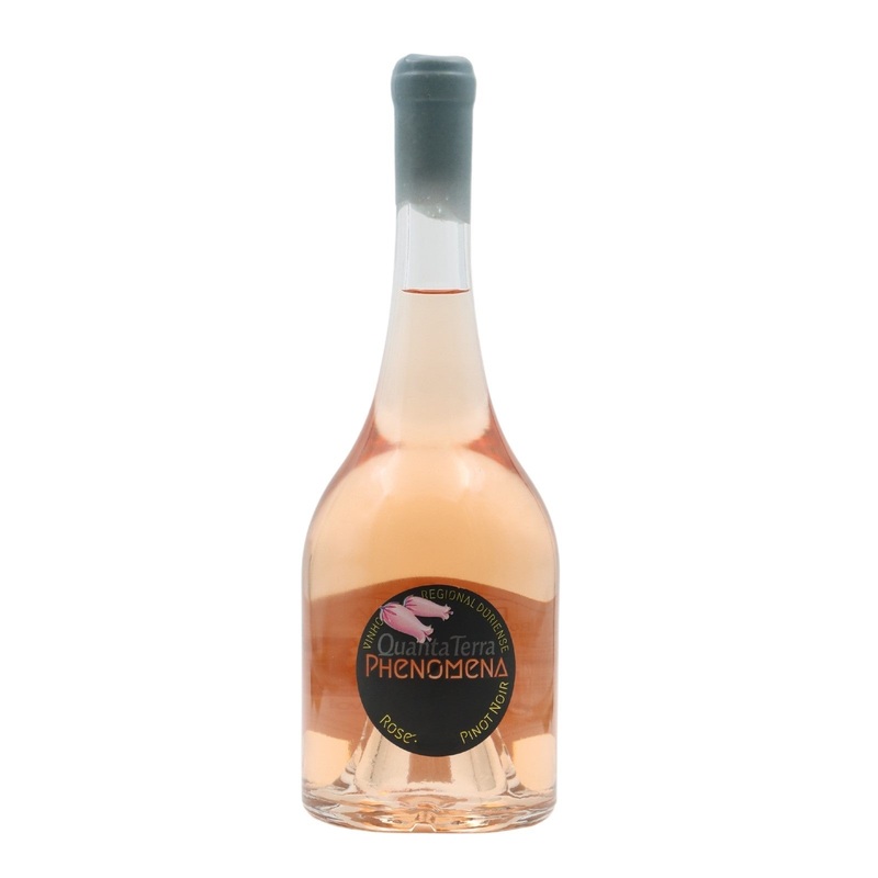 Quanta Terra Phenomena Pinot Noir Ros 2023