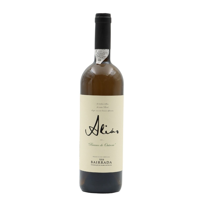 Alis White 2019